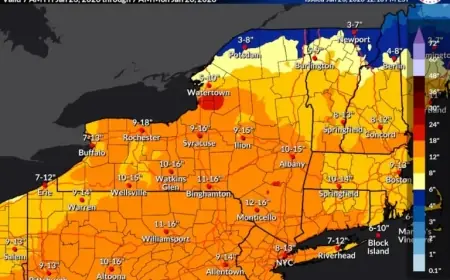 Gov. Hochul Declares State of Emergency for New York Amid 2026 Winter Storm