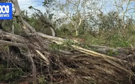 Cyclone Luana Intensifies to Category One Near Kimberley Coast