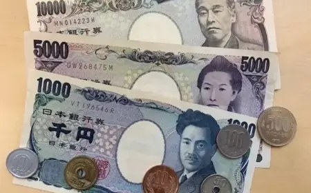Japan Finance Minister Katayama Silent on FX Market Intervention