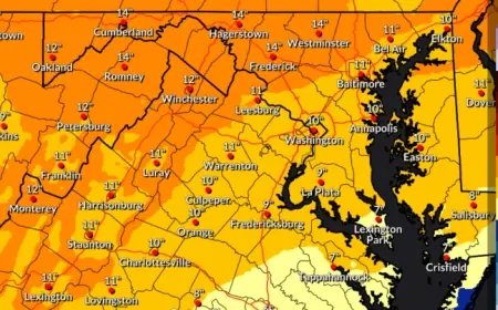 Northern Virginia Braces for Winter Storm: Up to 14 Inches of Snow Possible