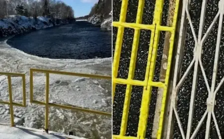 NL Hydro Urges Saturday Morning Power Conservation Amid Rising Demand