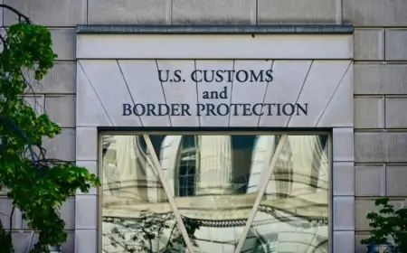 CBP Intercepts Hazardous Grain Pest at Detroit Airport, Urges Declaring Agriculture Items