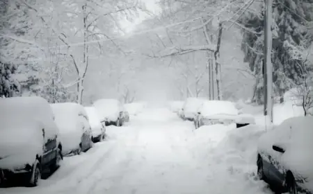 State of Emergency: DEMA Activates Center for Winter Storm Response