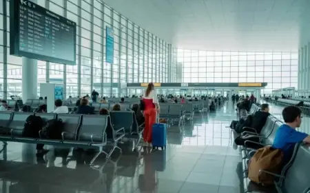 Canada Flight Chaos: Air Canada, WestJet Cancel 204 Flights, Delay 52