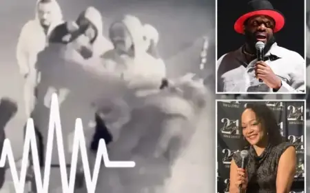 Comedian Punches Woman Outside Hollywood Comedy Club in Shocking Video