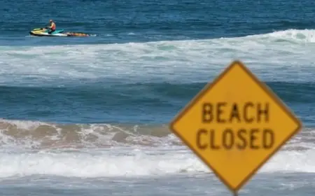 Shark Attack Claims Young Boy’s Life in Sydney Harbour