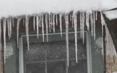 Ice Threatens Widespread Power Outages, Sparking Concerns