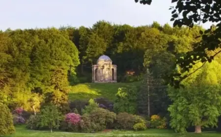 National Trust Plans Cafe, Parking, and Trails Expansion Near Shrewsbury