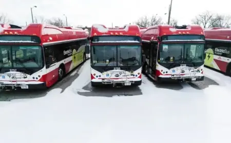 BYD’s First Canadian Manufacturing Venture Fails to Deliver Results