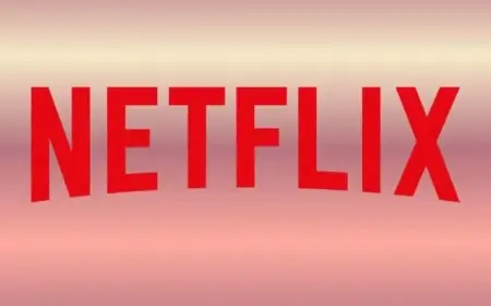 Netflix Cancels Underappreciated Series After Three Seasons