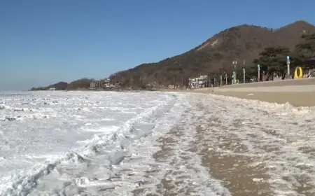 Severe Cold Snap Continues: Temperatures Plummet to -10°C Until Next Week