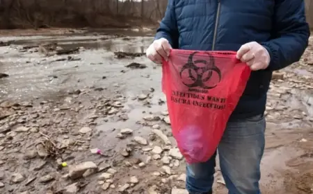 Major Sewage Spill Contaminates Potomac River Near Washington