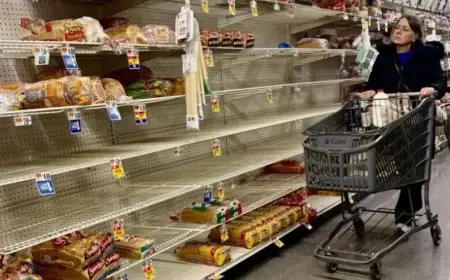 DC Braces for Largest Snowstorm in a Decade: Shoppers Stock Up