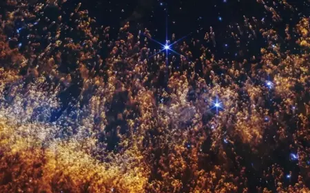 Webb Telescope Unveils Spectacularly Clear Planetary Nebula