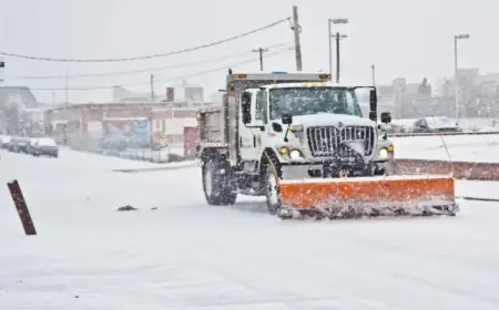Contact List for Philly Snowstorm Emergencies: Trees, Power Lines, and More