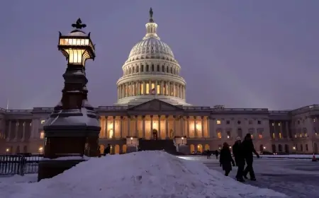 DC, Maryland, Virginia Declare Snow Emergency Amid Extreme Cold and Ice