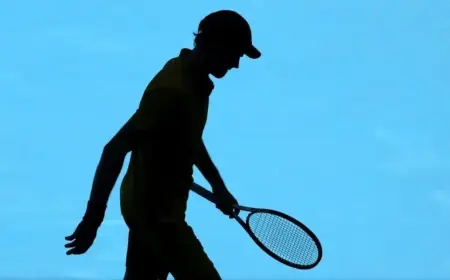 Jannik Sinner Triumphs Despite Unfavorable Australian Open Heat Conditions