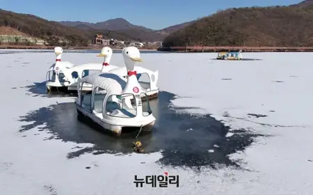 Severe Cold Spell Hits, Windchills Drop to -18°C on the 25th