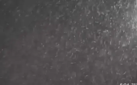 Pittsburgh Snowstorm: Start and End Times Detailed in New Forecast