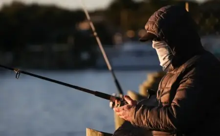 Florida Weather Drops: Mid-80s Heat Plummets to Upper 30s