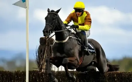 2026 Cheltenham Gold Cup: Discover This Year’s Horse Entries