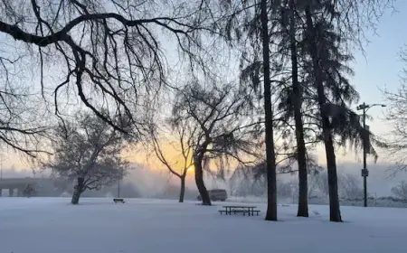 Essential Tips for Surviving an Extreme Cold Snap