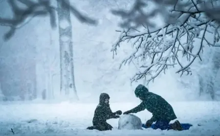 Severe Snowstorm Strikes D.C. Tonight, Brutal Cold to Follow