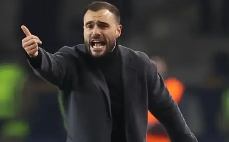 Schmitt Faces Tough Challenge: Balancing Theory with Limited Practice