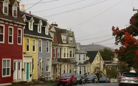 St. John’s Housing Market Remains Strong Amid National Cooling Trends