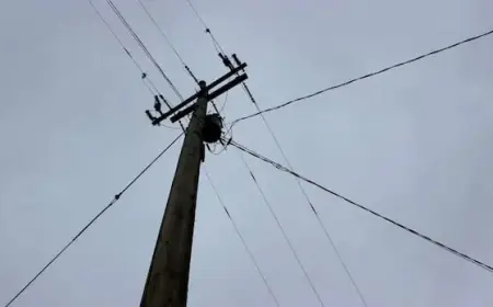 N.L. Hydro Urges Saturday Power Conservation Amid Warning