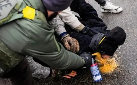 ICE Involved in Minneapolis Shooting Incident This Morning