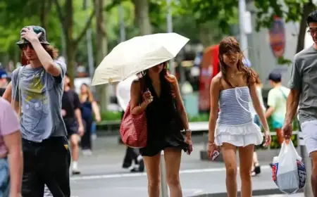 Scientists Warn: Australian Summer Undergoes Complete Transformation