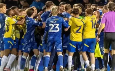 Gills Fined for Mass Brawl; Managers Deemed Responsible