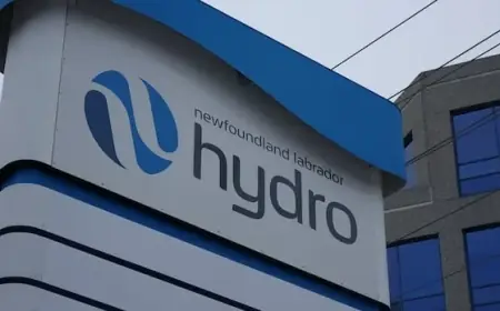 Newfoundland Power, N.L. Hydro Announce Conference After Urging Power Conservation
