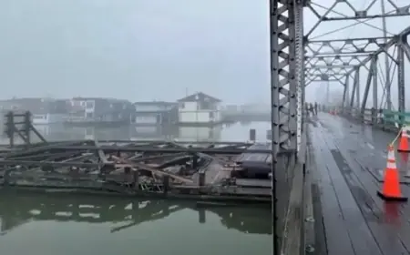 Barge Collision Cuts Off Vehicle Access to Delta’s Westham Island