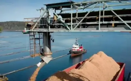 Vancouver Island Wood Chip Plant Closure Poses Challenge, CEO States