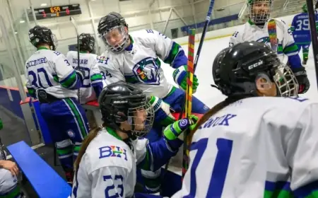 Can ‘Heated Rivalry’ Foster Inclusivity for Gay Hockey Players?