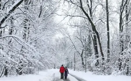 Benefits of Outdoor Winter Activities for Health and Wellbeing