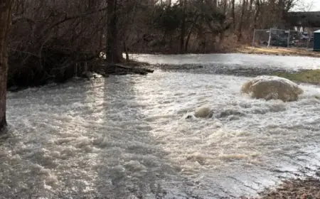 Raw Sewage Spill Dumps Millions of Gallons Into Potomac River