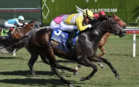 Litigation Triumphs in Gulfstream Park Turf Sprint Win