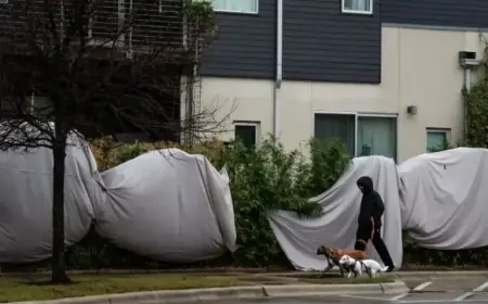 Austin Freezing Weather: Hourly Forecast Revealed