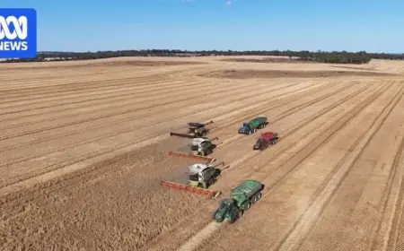 WA Grain Harvest Poised to Shatter Record with 27 Million Tonnes