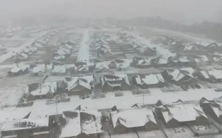 Winter Storm Unleashes Striking Scenes