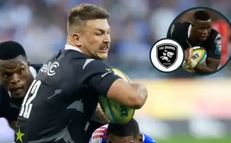 Sharks Player Ratings vs. Stormers: Springboks ‘Man-Mountain’ Shines