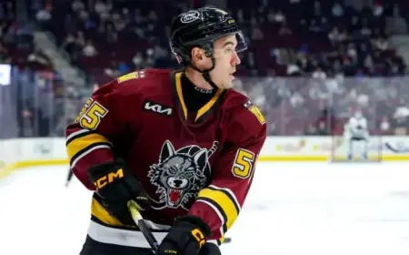 Sabres Trade for Defenseman Bayreuther, Send Forward Neuchev to Hurricanes