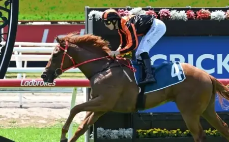 RV Stewards Investigate Offensive Slur in Social Media Post