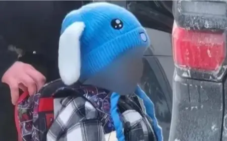 Liam Conejo Ramos case jolts Minnesota families as a 5-year-old is swept into immigration detention far from home