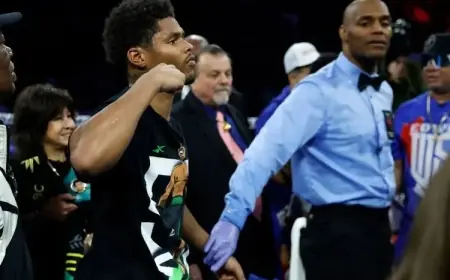Judges and Referee Assigned for Teófimo López vs. Shakur Stevenson Fight