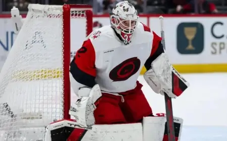 Hurricanes Pursue Contract Extension with Bussi