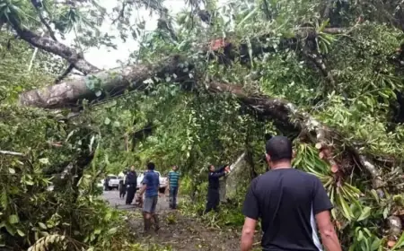 Cold Front to Intensify Rain and Wind in Costa Rica This Week